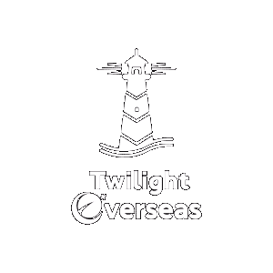Twilight-Overseas-White gif by pengwin solutions